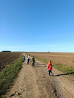 Světýlka a lampiony