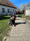 Čarodějnický rej ve školce
