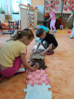 Fyzioterapeutický program