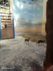 Školní výlet ZOO Jihlava