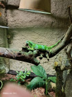 Školní výlet ZOO Jihlava