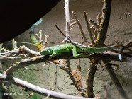 Školní výlet ZOO Jihlava