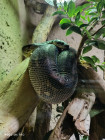 Školní výlet ZOO Jihlava