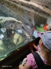 Školní výlet ZOO Jihlava