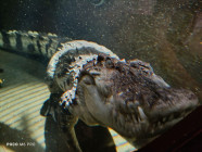 Školní výlet ZOO Jihlava