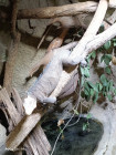 Školní výlet ZOO Jihlava