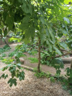 Školní výlet ZOO Jihlava