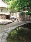 Školní výlet ZOO Jihlava