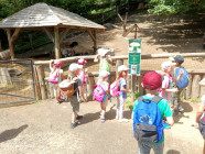 Školní výlet ZOO Jihlava