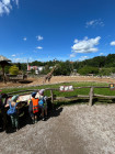 Školní výlet ZOO Jihlava