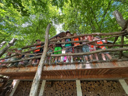 Školní výlet ZOO Jihlava