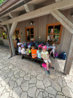 Školní výlet ZOO Jihlava