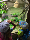 Školní výlet ZOO Jihlava