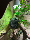 Školní výlet ZOO Jihlava