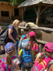 Školní výlet ZOO Jihlava