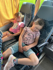 Školní výlet ZOO Jihlava
