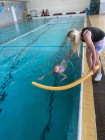 Předposlední plavecký výcvik Koťátek