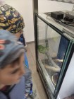 Koťátka - Exkurze na terarijní zvířata Střední školy zahradnické a technické v Litomyšli