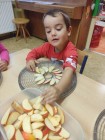 Ovocný salát a sušení jablek u Myšek
